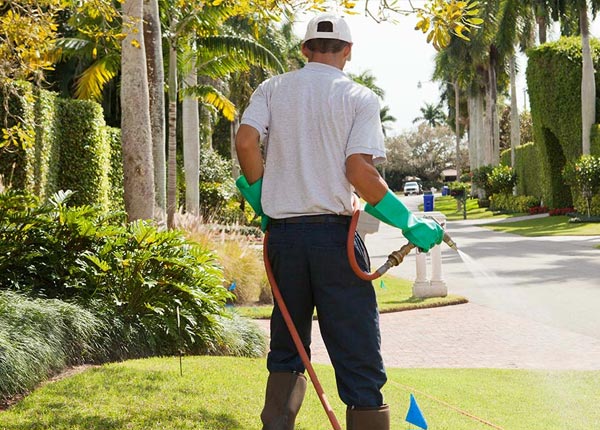 About Centrahoma OK Pest Control